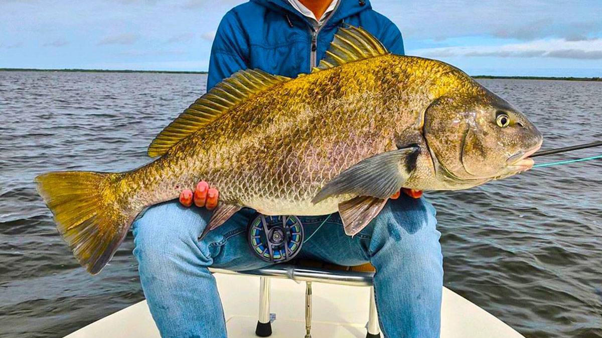 man holding a large fish while seated on a boat in the middle of the ocean in Clearwater Beach Deep Sea Fishing Adventure - Florida, USA